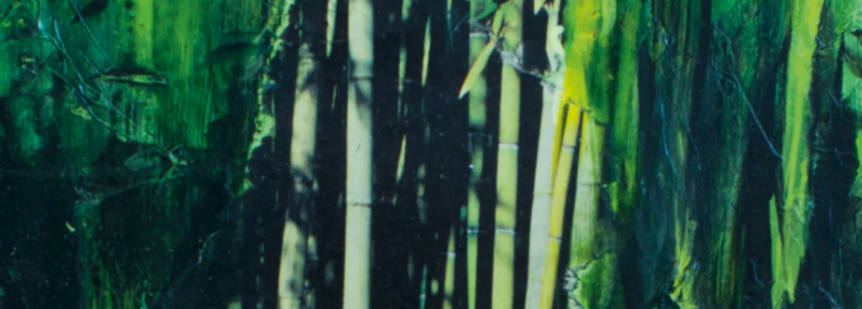 Bamboe buigt, maar breekt niet, Indisch Herinneringscentrum, Museum Sophiahof, Den Haag